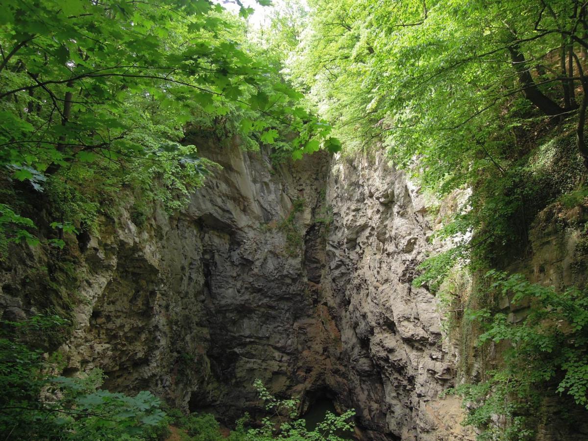 Apartmá s vlastní saunou Lipník nad Bečou Exterior foto
